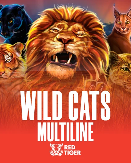 Casino game at Jackbit